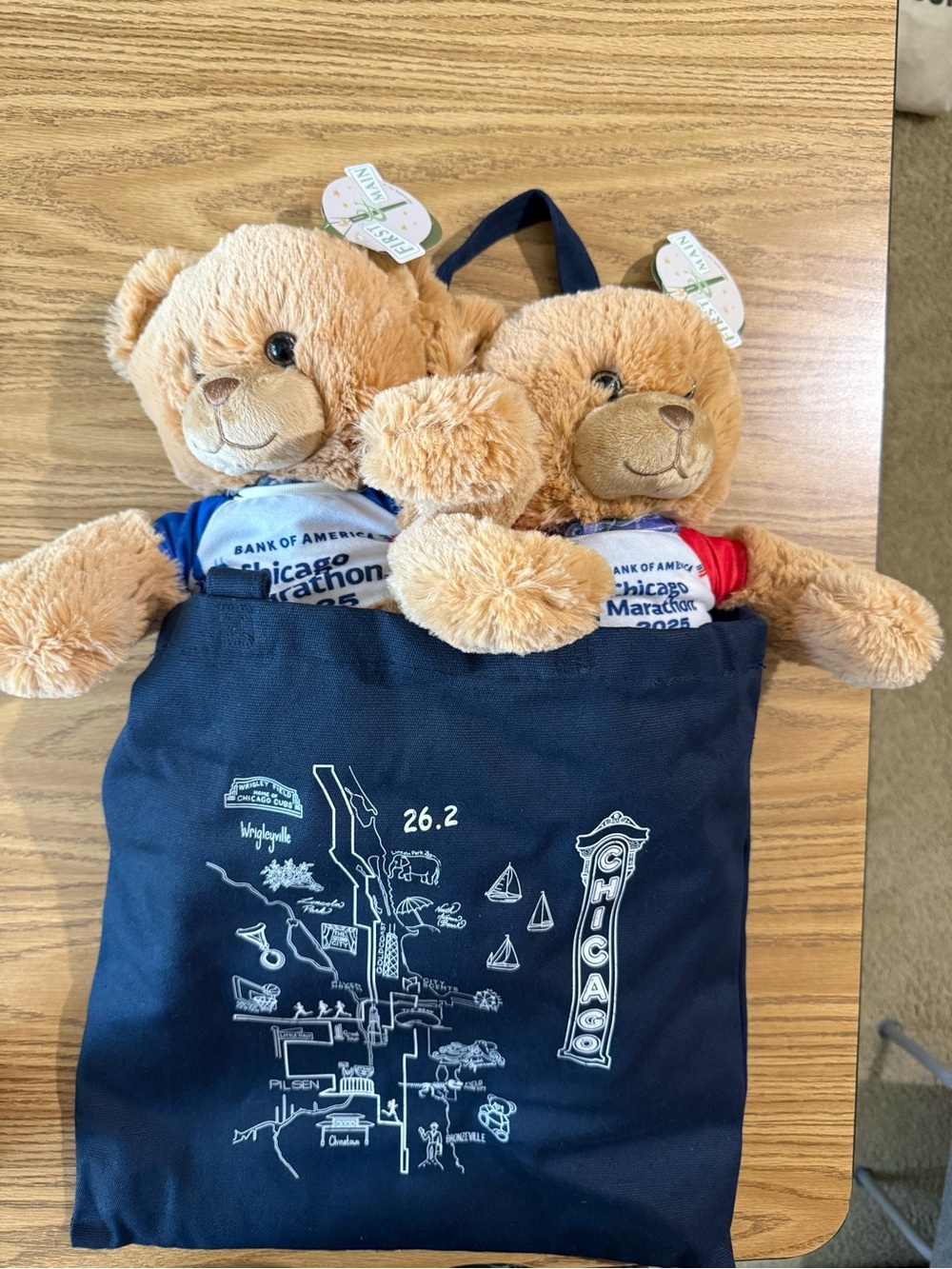 Chicago Marathon 2025 keepsake bears and bag